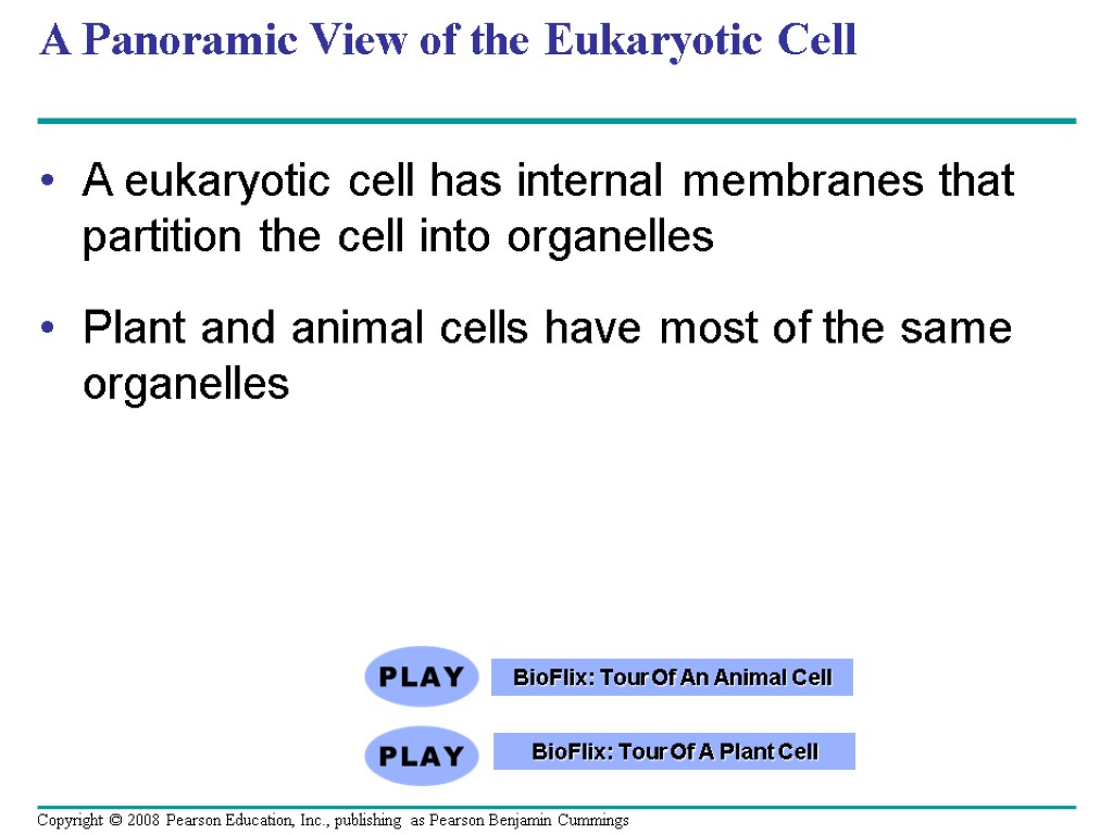 A Panoramic View of the Eukaryotic Cell A eukaryotic cell has internal membranes that